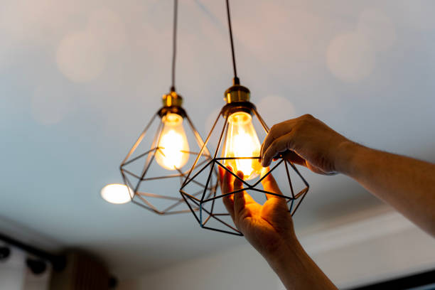 Best Local Electrician Companies  in Reidville, SC
